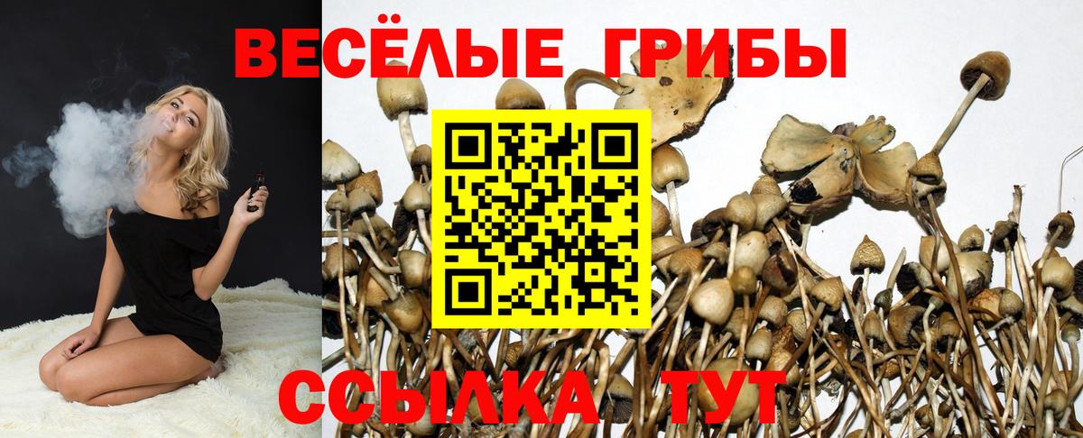 Псилоцибиновые грибы прущие грибы Нефтекамск