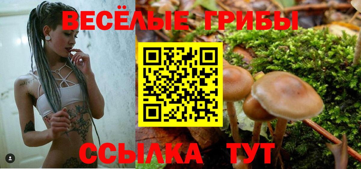 Псилоцибиновые грибы Magic Shrooms  Вход с VPN  Нефтекамск 